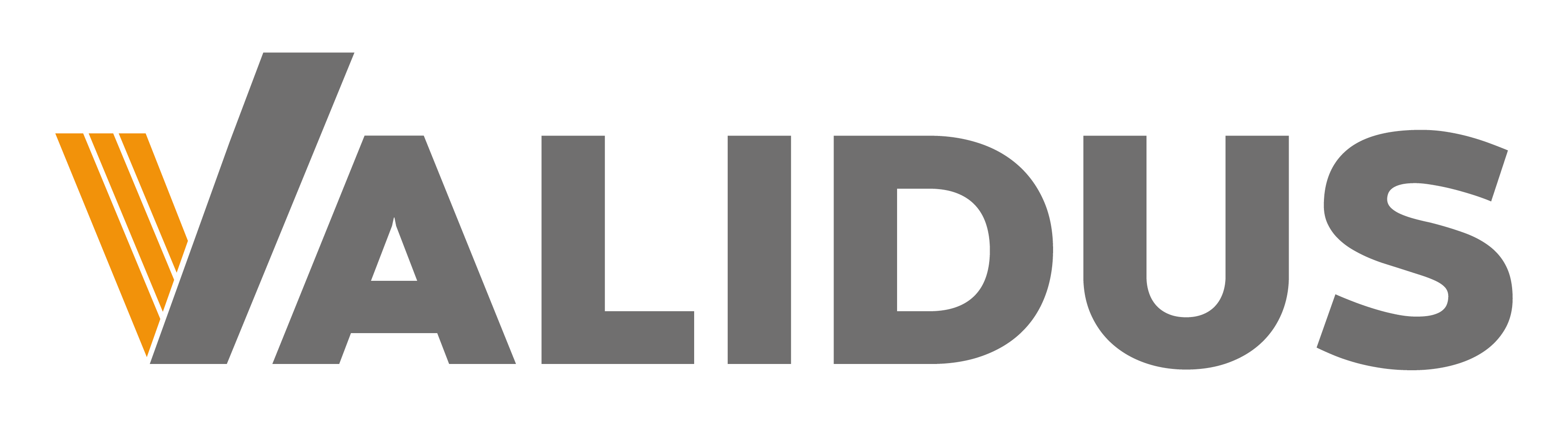 Validus_Logo_1